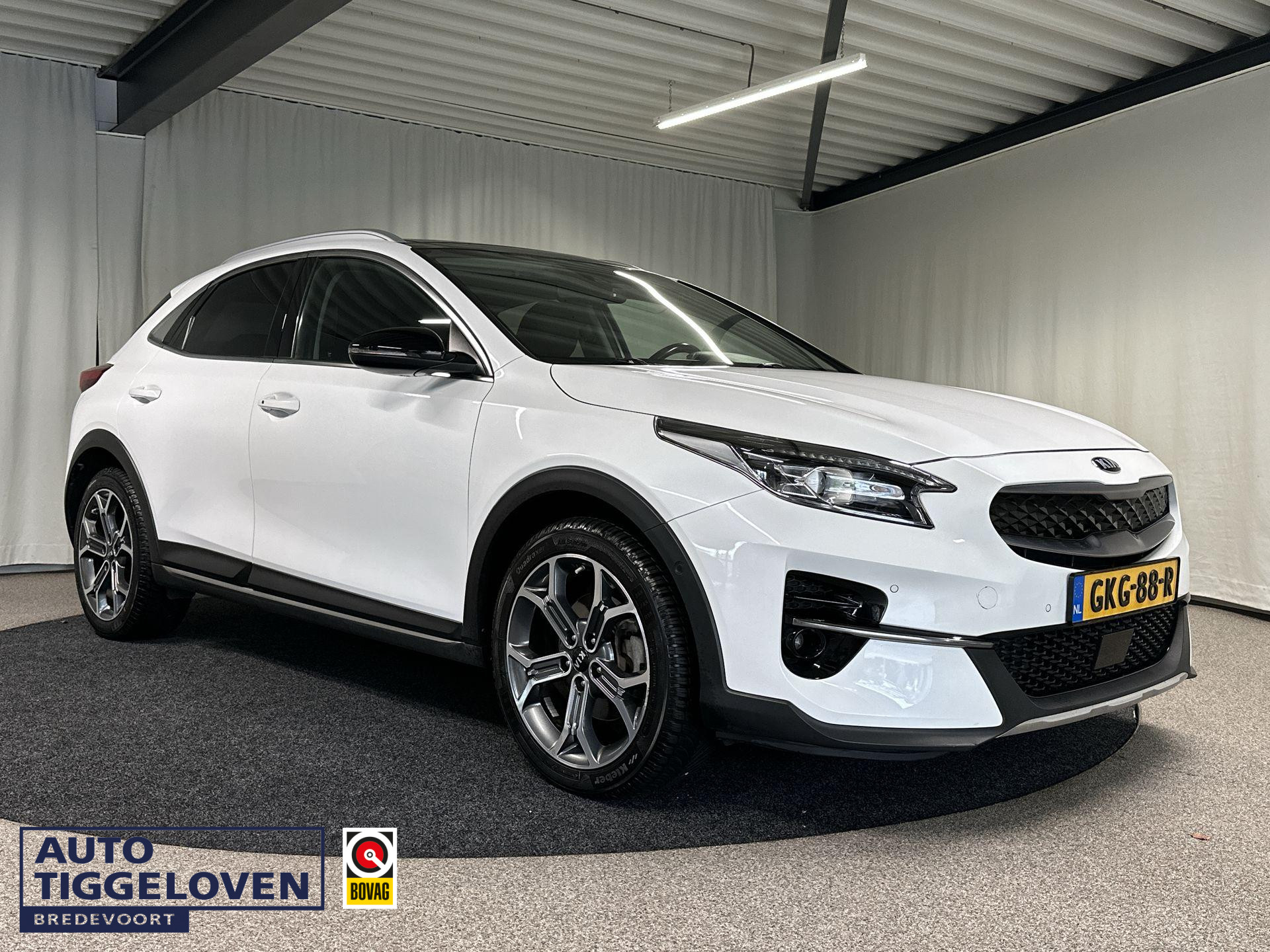 56338665