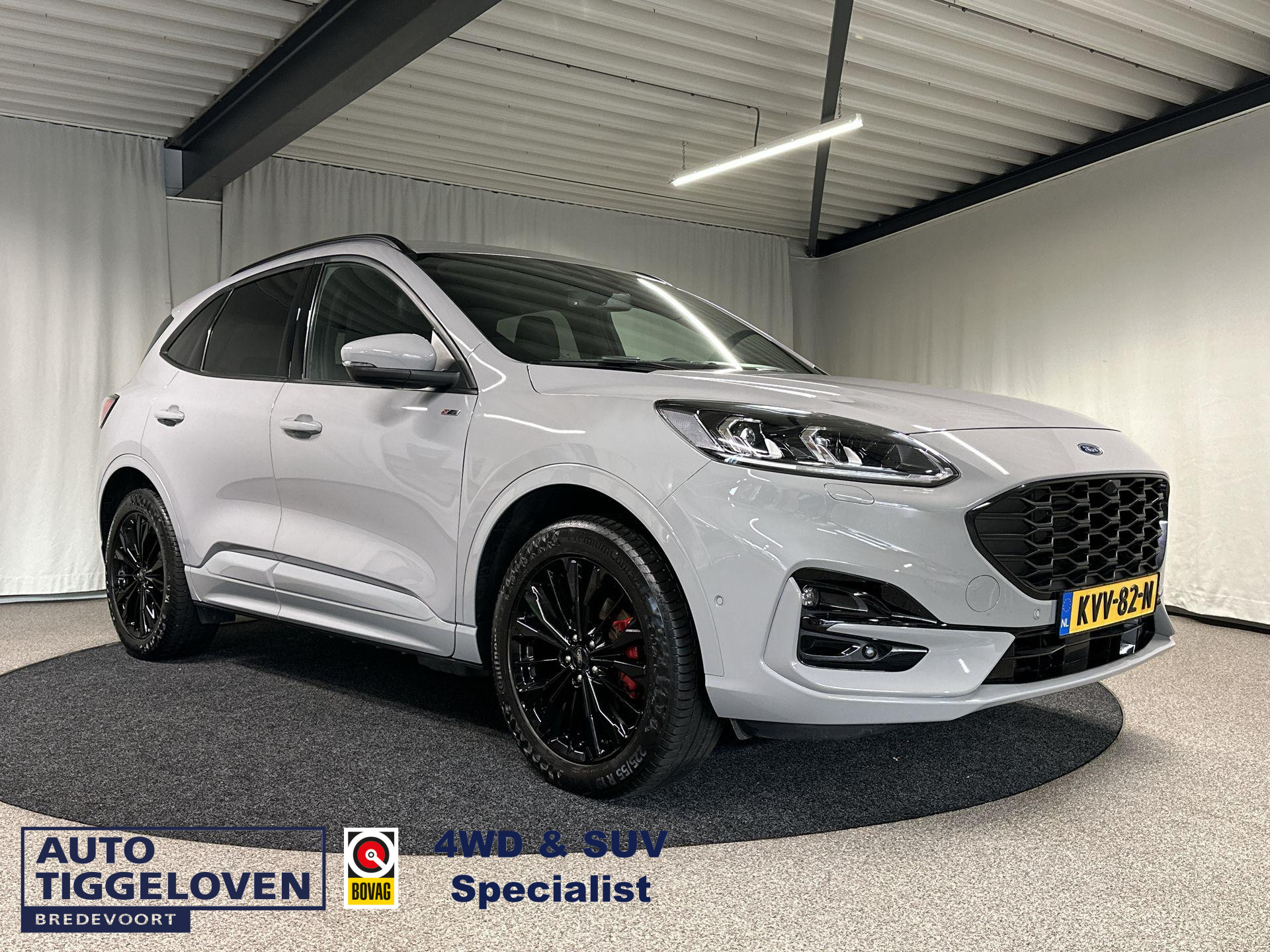 56832582